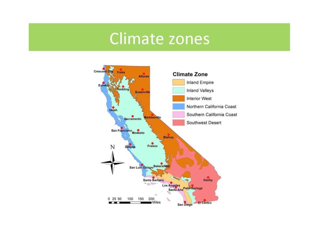 Tree Carbon Calculator | California Urban Forests Council