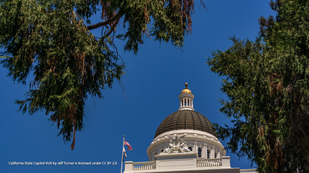 Great News for Urban Forestry in California!