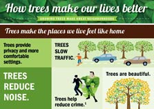 HOW TREES MAKE OUR LIVES BETTER