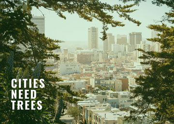 CITIES NEED TREES