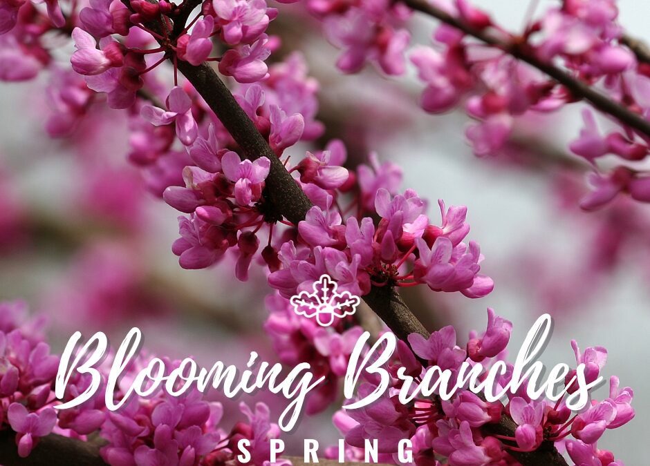 Blooming Branches: Springing into Action
